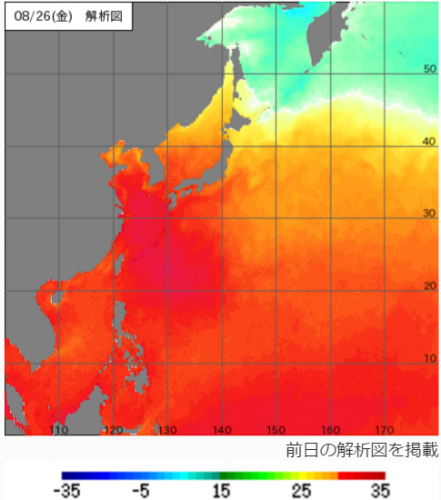 26日の海面水温