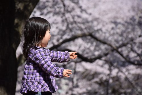 正解はどれでしょう お花見団子の三色の意味 ライフレンジャー トピックス