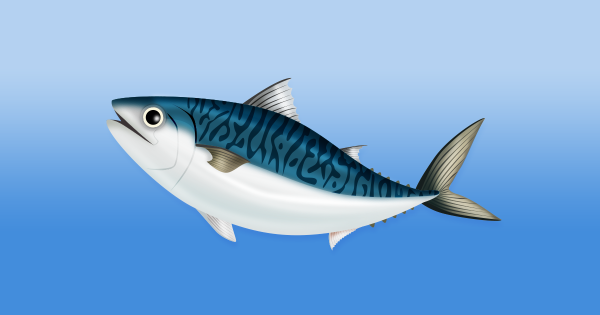 【旬のサカナ】釣っている最中に鮮度が落ちるほどデリケートな… | ライフレンジャー トピックス