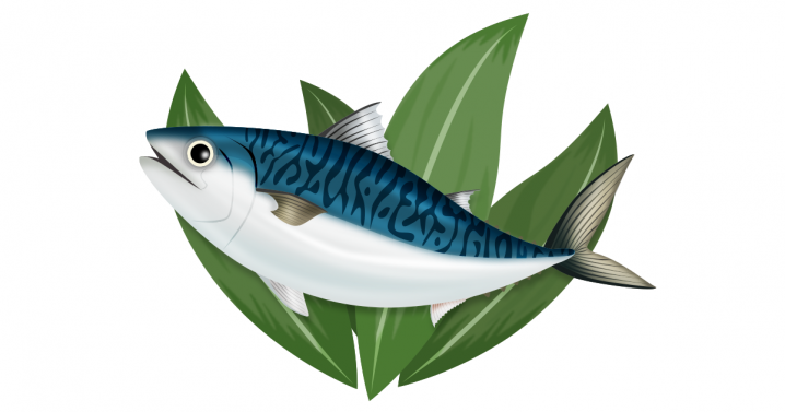 【旬のサカナ】釣っている最中に鮮度が落ちるほどデリケートな… | ライフレンジャー トピックス