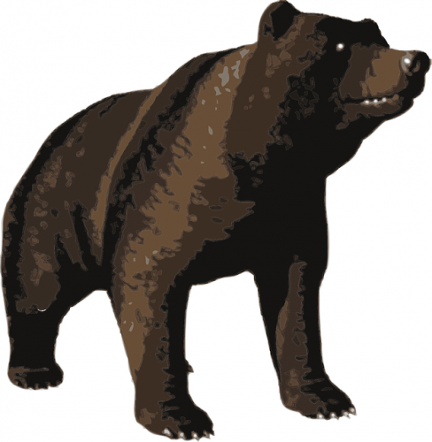 本当は怖いクマの話 クマ被害から逃れるために大事なこと ライフレンジャー トピックス