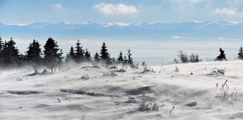 風が吹いたら寒さが増す 体感温度と風について ライフレンジャー トピックス